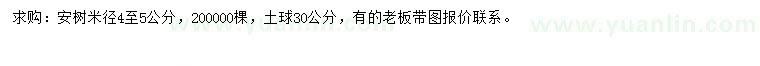 求購米徑4至5公分桉樹