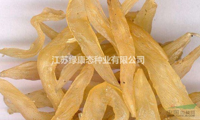 天冬入藥部位，綠康態(tài)歡迎您來(lái)電咨詢(xún)