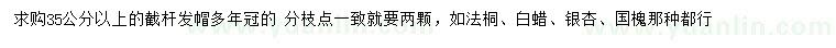 求購法桐、白蠟、銀杏等