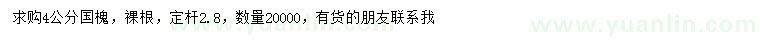 求購4公分國槐
