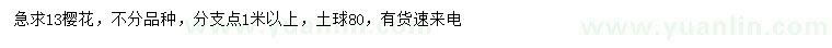 求購13公分櫻花