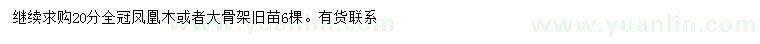 求購20公分鳳凰木