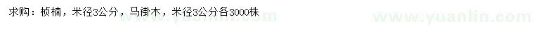 求購米徑3公分楨楠、馬褂木