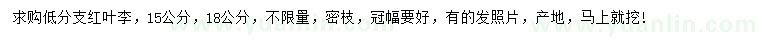 求購15、18公分紅葉李
