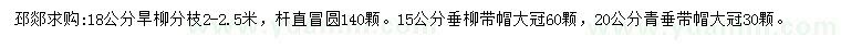 求購旱柳、垂柳、青垂