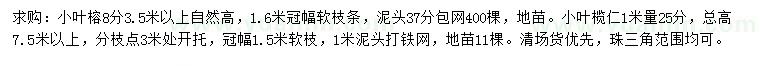 求購3.5米以上自然高小葉榕