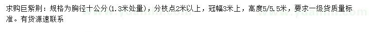 求購1.3米量10公分巨紫荊
