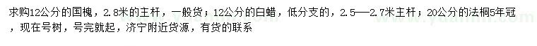求購國槐、白蠟、法桐