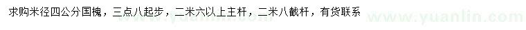 求購米徑3.8公分以上國槐