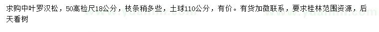 求購50量18公分中葉羅漢松