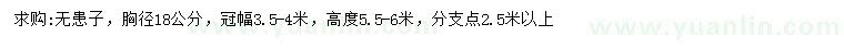 求購胸徑18公分無患子