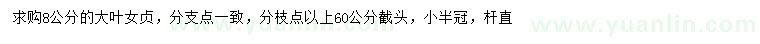 求購8公分大葉女貞