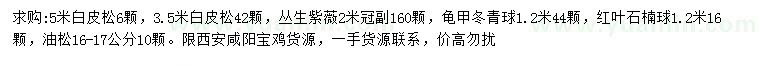 求購(gòu)白皮松、叢生紫薇、龜甲冬青球等