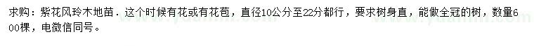 求購(gòu)10-22公分紫花風(fēng)鈴木