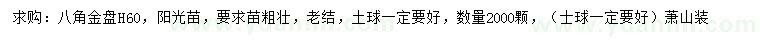 求購高60公分八角金盤