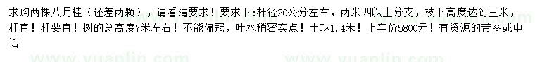 求購20公分左右八月桂
