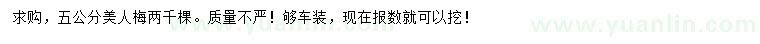求購(gòu)5公分美人梅