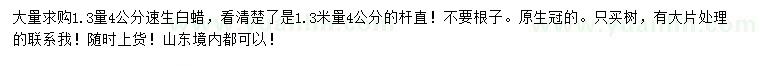 求購1.3米量4公分速生白蠟