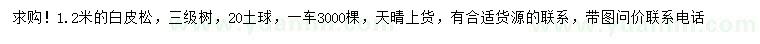 求購(gòu)1.2米白皮松