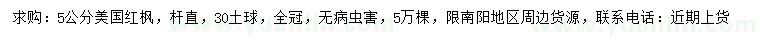 求購(gòu)5公分美國(guó)紅楓