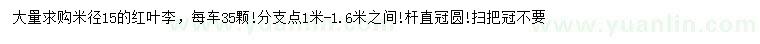 求購米徑15公分紅葉李