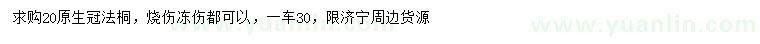 求購(gòu)20公分法桐