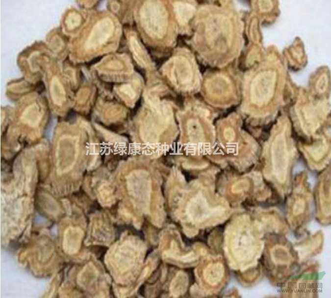 關(guān)防風(fēng)入藥部位，綠康態(tài)歡迎您來電咨詢