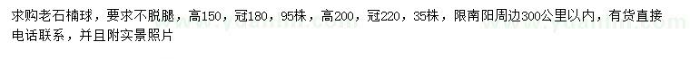 求購高150公分老石楠球