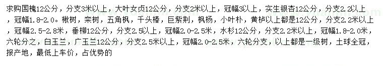 求購(gòu)國(guó)槐、大葉女貞、銀杏等