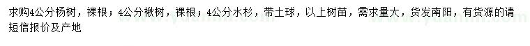 求購楊樹、楸樹、水杉