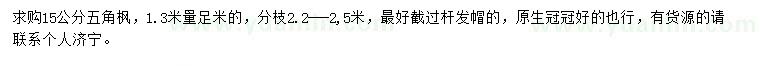 求購15公分五角楓