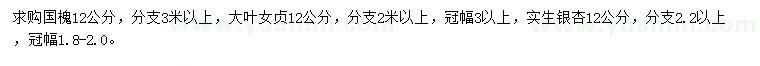 求購12公分國槐、實生銀杏