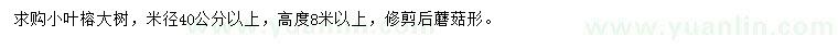 求購米徑40公分以上小葉榕