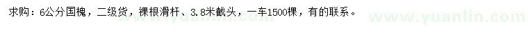 求購(gòu)6公分國(guó)槐