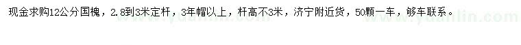 求購12公分國槐
