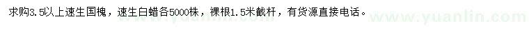 求購(gòu)3.5以上速生國(guó)槐、速生白蠟