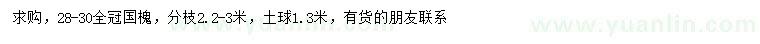 求購28-30公分國槐