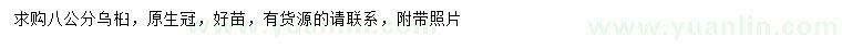 求購(gòu)8公分烏桕