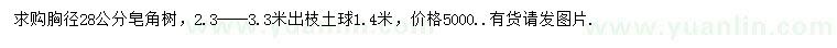 求購胸徑28公分皂角樹