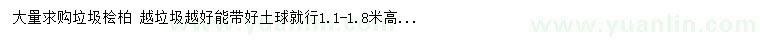 求購1.1-1.8米高垃圾檜柏