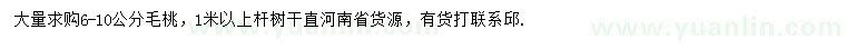 求購6-10公分毛桃