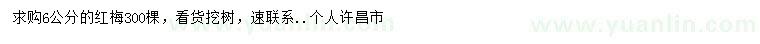 求購6公分紅梅