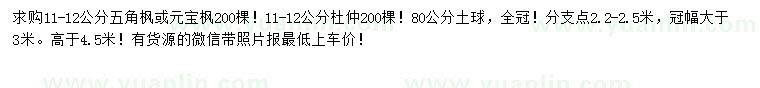 求購11-12公分五角楓、元寶楓、杜仲