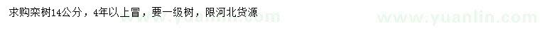 求購(gòu)14公分欒樹(shù)