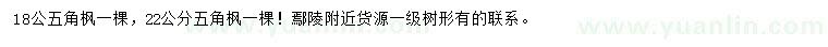 求購18公分、22公分五角楓