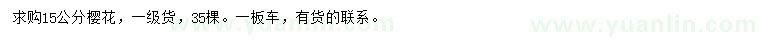 求購(gòu)15公分櫻花