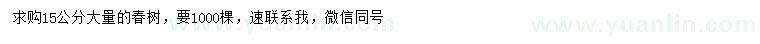 求購15公分椿樹