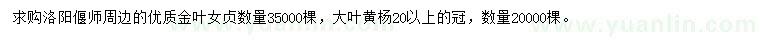 求購金葉女貞、大葉黃楊