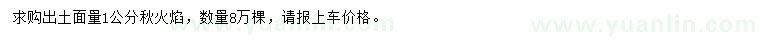 求購1公分秋火焰