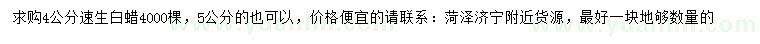 求購(gòu)4、5公分速生白蠟